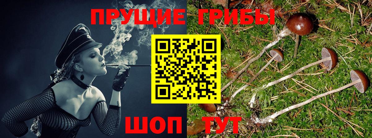 Псилоцибиновые грибы MAGIC MUSHROOMS Красноуфимск
