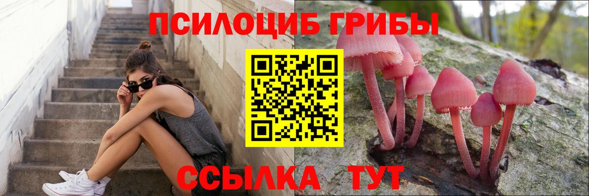 даркнет сайт  Вход с VPN  Красноуфимск  Псилоцибиновые грибы MAGIC MUSHROOMS 
